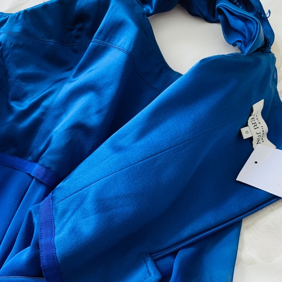 Sapphire Teri Jon by Rickie Freeman formal gown - Picture 8 of 9